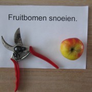 Fruitbomen snoeien