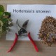 Horetensia snoeien per soort