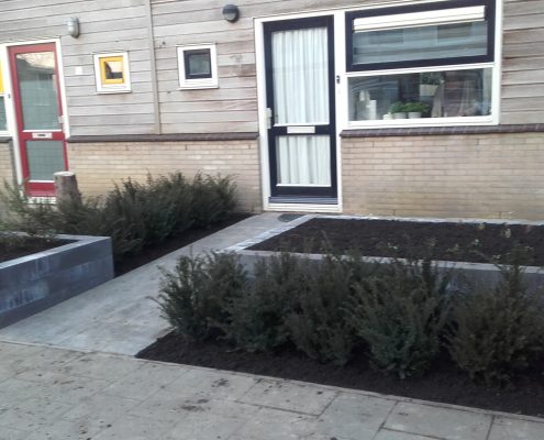 Aanleg tuin Hovenier Ultima Flora