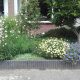 Ontwerp beplanting