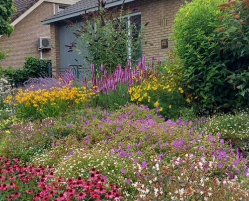 Hovenier Rhenen, Ultima flora voor een kleurrijke tuin