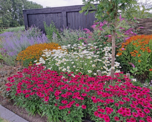 plantvak met vaste planten in bloei